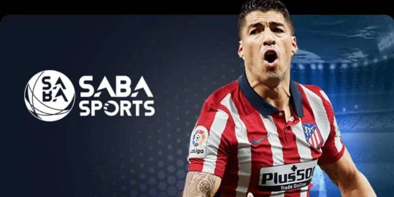 IM Sports Xin88 đã xây dựng được một hệ sinh thái cá cược hoàn chỉnh